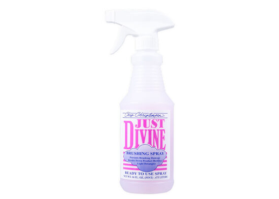 CHRIS CHRISTENSEN Just Divine RTU Brushing Spray, 473ml - apmatojuma kopšanas līdzeklis suņiem un kaķiem